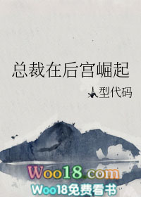 总裁在后宫崛起（穿越）